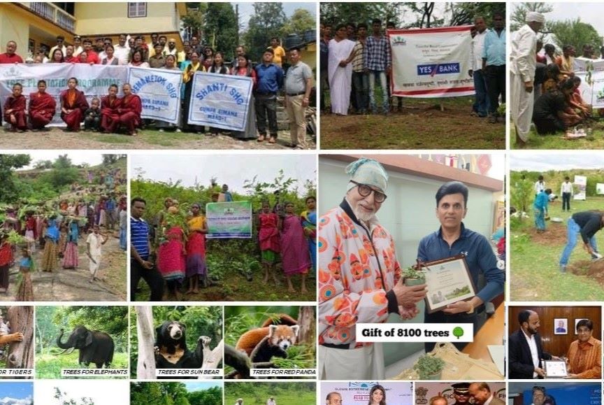 Grow-Trees.com Plants 20 Million Trees Across 23 States In 2024